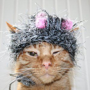 HAND CRAFTED Hair Curlers Cat Hat Crochet Gray Hairy Wig Costume Photo Prop